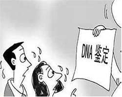 重庆落户亲子鉴定多少钱一次，重庆专业的上户口亲子鉴定机构在哪里有